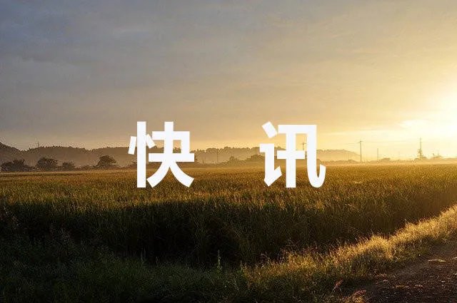 武汉一高校宿舍进水有鱼游进屋内 拍摄者表示：每年下大雨湖水上涨都会这样