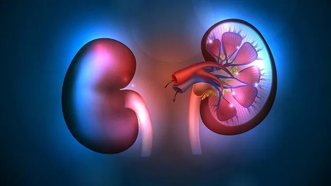 尿血是怎么回事