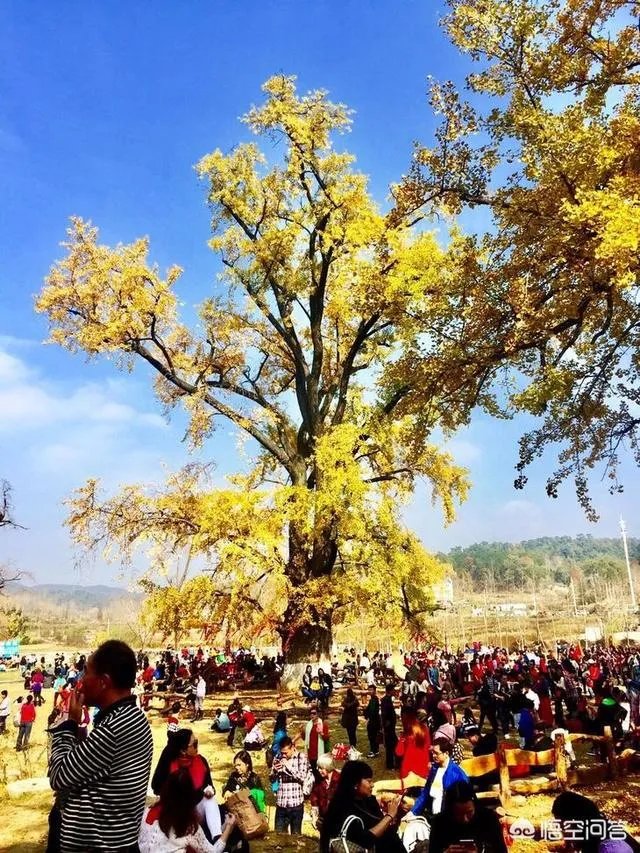 随州有哪些著名的旅游景点？