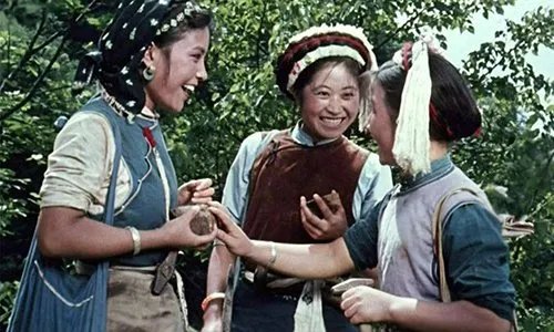 杨丽坤为什么会疯