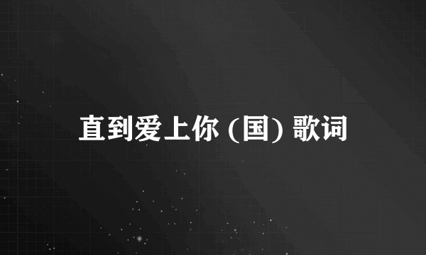 直到爱上你 (国) 歌词