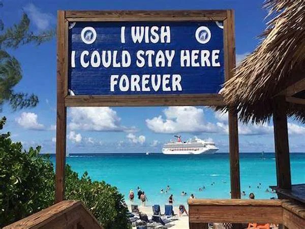 一首欢快的英文歌,女生唱的,副歌好像是baby wanna go,哪位大侠发一下歌名啊?