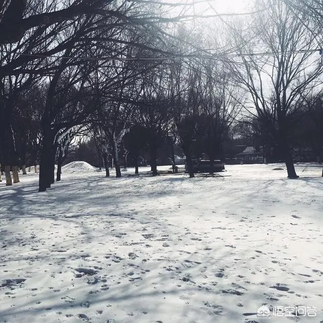 包头这个城市美不美？