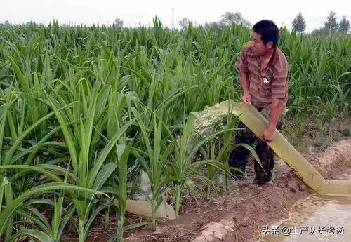今天全国项城天气查询