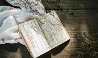 惹人喜爱的意思（惹人喜爱的意思和造句）