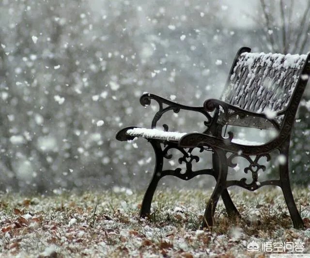 人为什么要为情所伤？