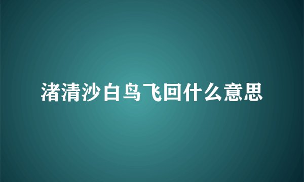 渚清沙白鸟飞回什么意思