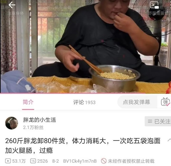 如何评价B站up主\胖龙的小生活?