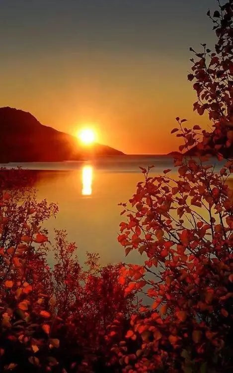 上联:春风似剪，剪开红花数万朵。求下联？