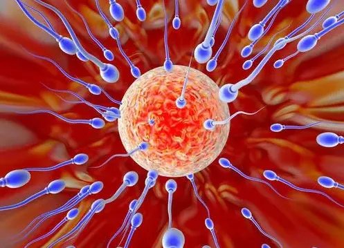 十堰三代试管供卵-2023年中国医科大学附属盛京医院分担三代试管捐卵费用