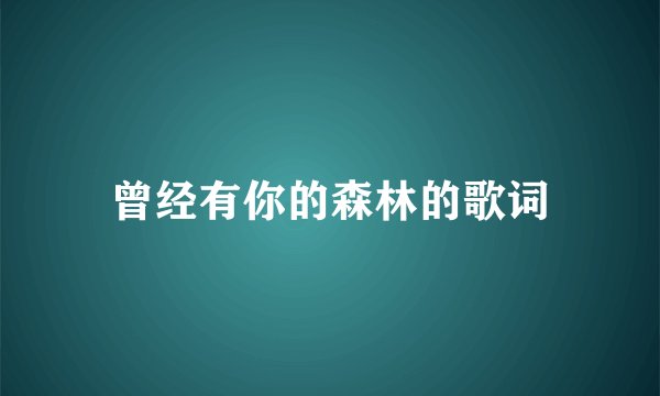 曾经有你的森林的歌词