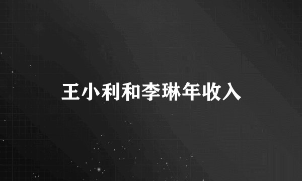 王小利和李琳年收入