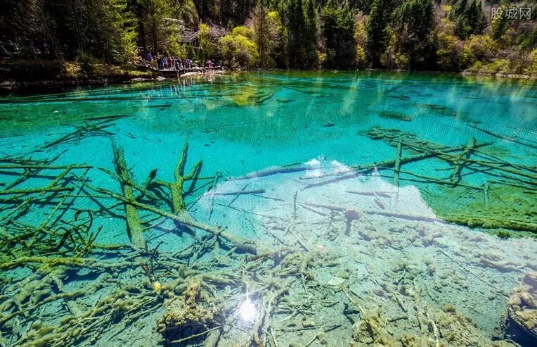 九寨沟恢复开园 九寨沟景区全部景观恢复?