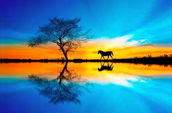 属马人的婚姻与命运 属马的人婚姻运势如何