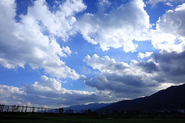 上联:春风似剪，剪开红花数万朵。求下联？