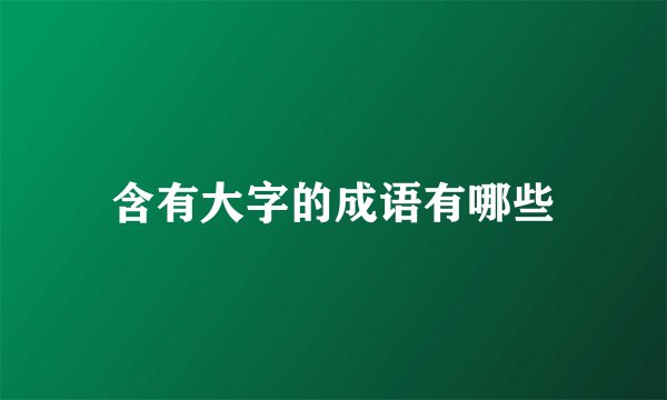 含有大字的成语有哪些