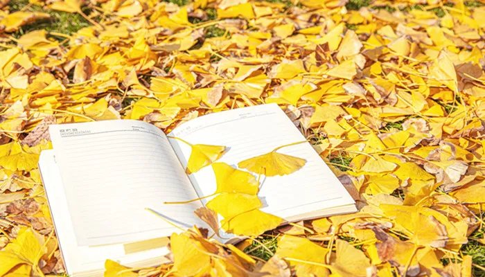 旖旎怎么读 旖旎要怎么读