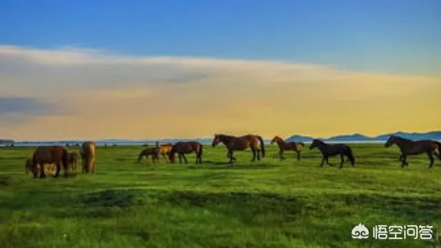 张家口市沽源县有哪些好玩的地方值得推荐？