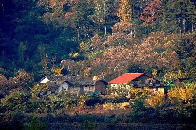 随州有哪些著名的旅游景点？