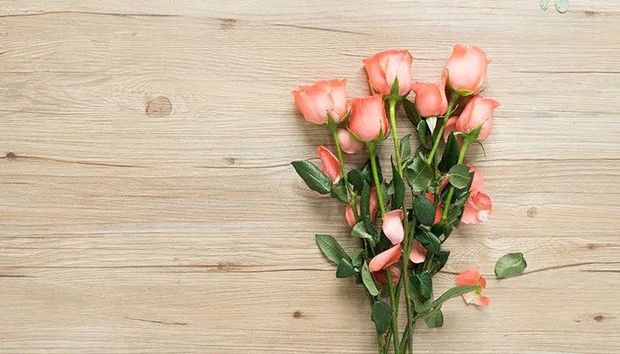 玫瑰花的花语 玫瑰花的花语是什么