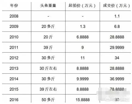 #查干湖冬捕#迄今为止,查干湖最大的头鱼有多重?