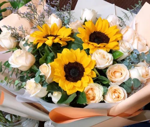 19朵粉色玫瑰花代表什么意思 第一次送女孩花应该送几朵