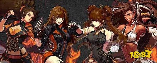 dnf武极是什么职业