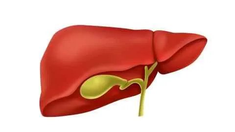 肝癌能活多久一般
