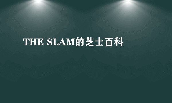 THE SLAM的芝士百科