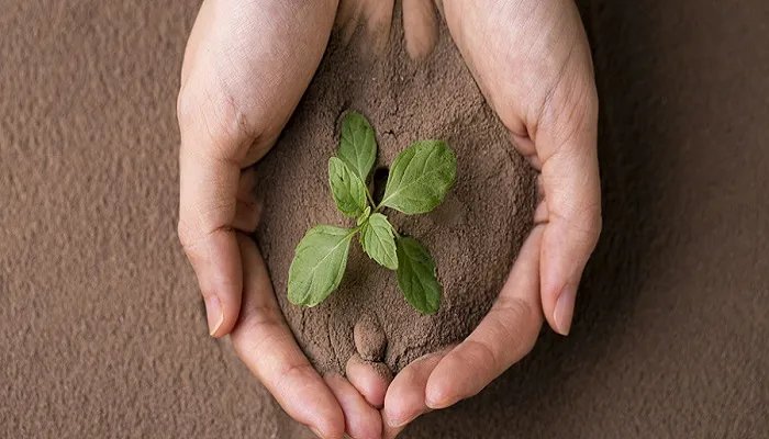 一公顷等于多少 一公顷是多少