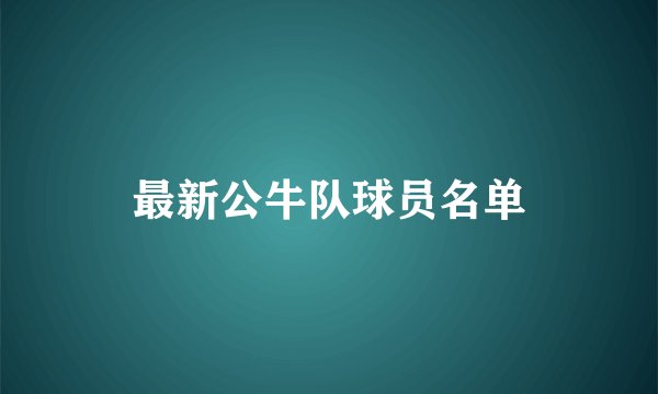 最新公牛队球员名单