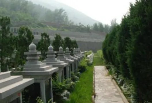 墓地价格是多少？