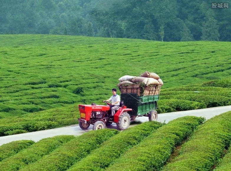 在农村干什么挣钱？ 五个赚钱项目任你选