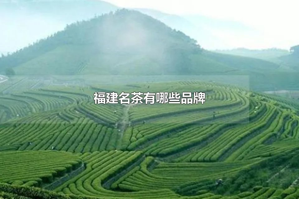福建名茶有哪些品牌 福建名茶有哪些品种