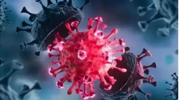 31省份新增本土确诊病例50例，其中浙江45例，为何都集中在浙江？