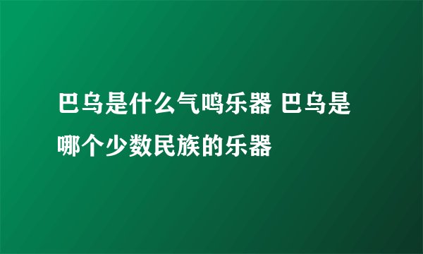 巴乌是什么气鸣乐器 巴乌是哪个少数民族的乐器
