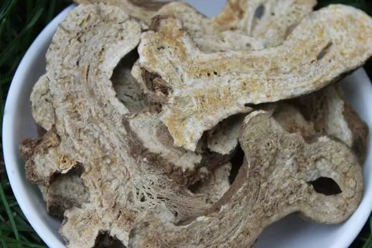 中药白术的图片