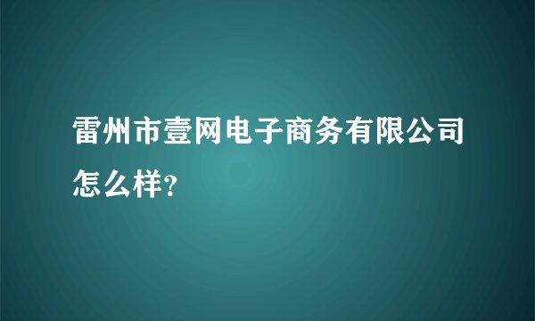 雷州市壹网电子商务有限公司怎么样？