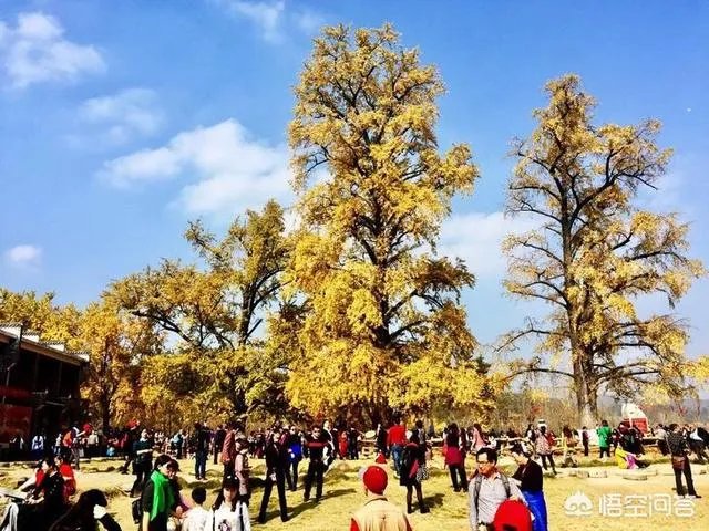 随州有哪些著名的旅游景点？