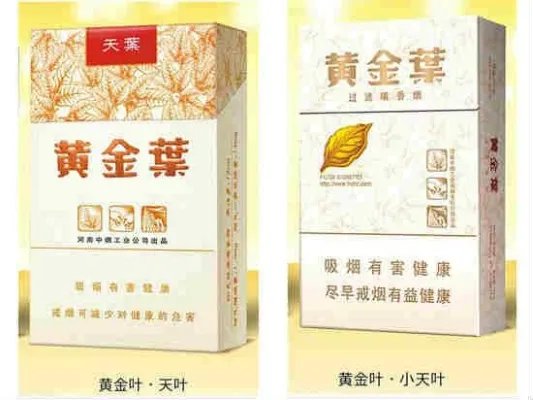 黄金叶大小天叶区别 3处辨别黄金叶大天叶与小天叶【图解】