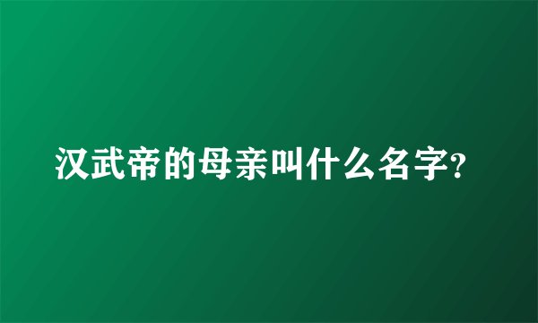 汉武帝的母亲叫什么名字？