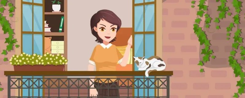 宋代养猫咪需要怎样蚂蚁庄园 养猫注意事项