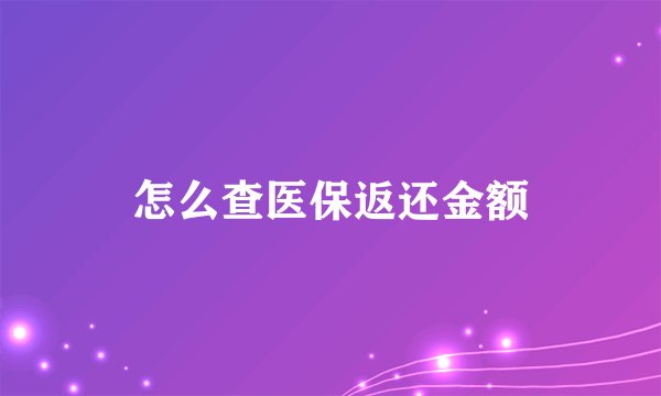 怎么查医保返还金额