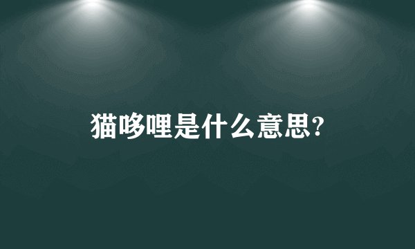 猫哆哩是什么意思?
