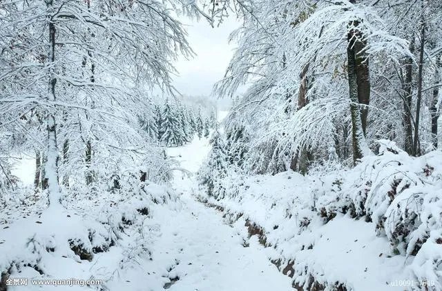秋风冷雨夜，一夜冷一夜。如何对下联？