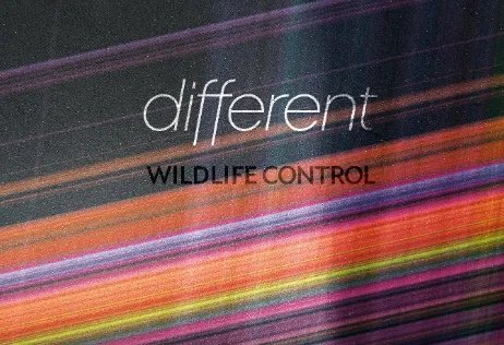 different的反义词是什么