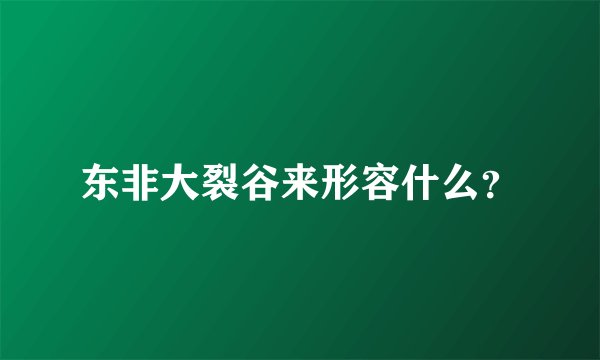 东非大裂谷来形容什么？
