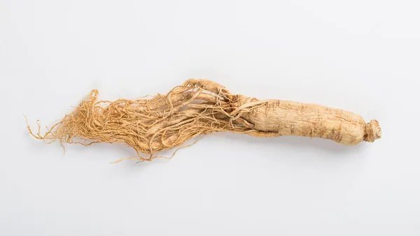 红参的功效与作用