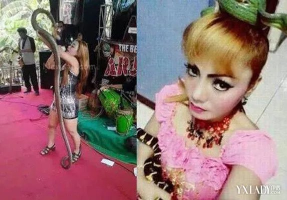 女歌手被眼镜蛇咬伤坚持唱到最后最终抢救无效死亡