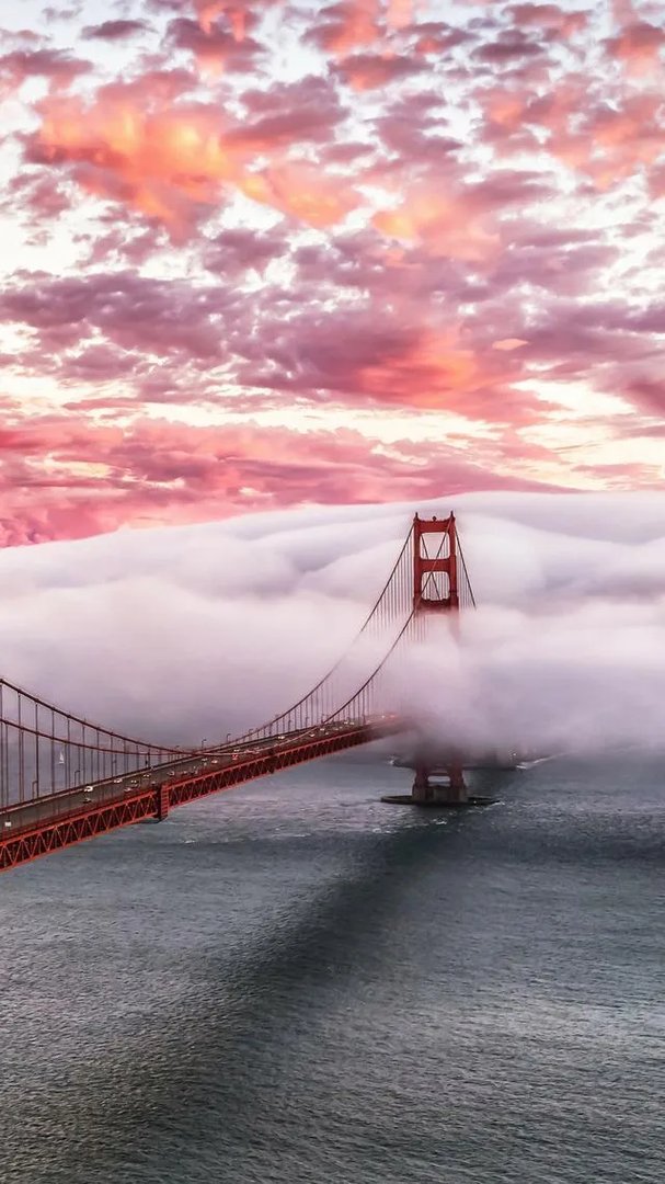 求推荐一些可爱的QQ头像？